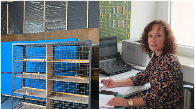 Links: Die Turnhalle der Grundschule Sipplingen, die saniert wird. Rechts: Nadja Wintermeyer, Schulleiterin der ...