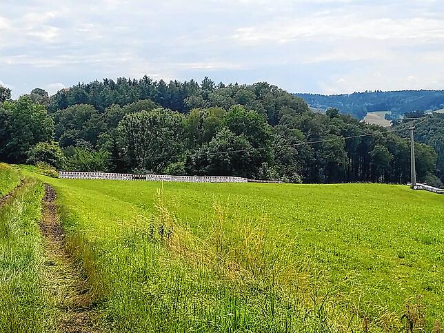 Bild 3: Bilder vom Hangrutsch, der die L194 zwischen Kalkofen und Mahlspüren im Tal bedroht