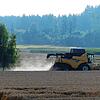 Die Getreideernte ist in vollem Gange. Zeit für eine erste Bilanz des Badischen Landwirtschaftlichen Hauptverbands.
