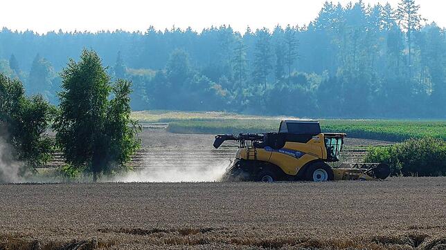 Die Getreideernte ist in vollem Gange. Zeit für eine erste Bilanz des Badischen Landwirtschaftlichen Hauptverbands.