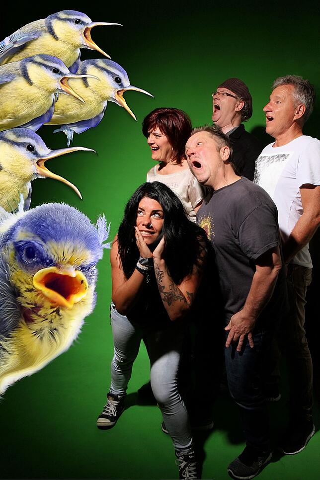Auch „The Roaring Tomtits“ (Die brüllenden Blaumeisen) treten beim großen Fest auf.