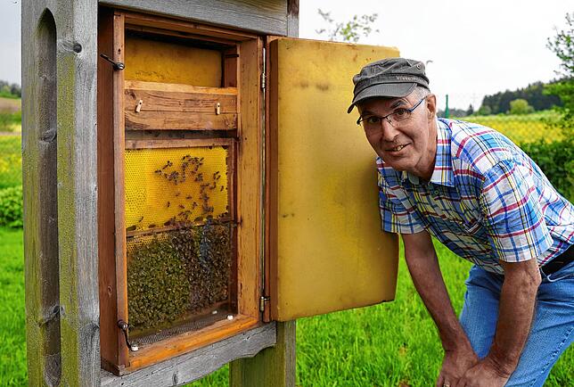 August Weh kontrolliert, ob es den Insekten am Lehrbienenstand des Imkervereins Baar-West gut geht.