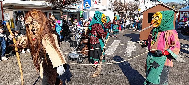 Bild 17: Die besten Fotos vom Fasnetsumzug in Tiengen