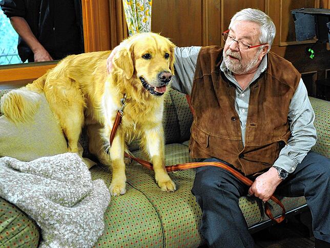 Wolfgang Hepp sitzt 2010 als Hermann Faller im SWR-Studio in Baden-Baden bei Dreharbeiten mit Familienhund Willy, dargestellt von dem ...