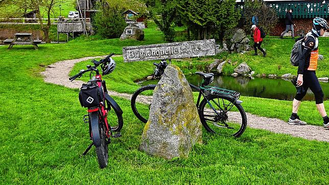 Hier kommt ein Teil der Donau her: Die Brigachquelle ist auf der neuen Etappe des Donauradweges erreicht. Jetzt ist gut Pause machen.