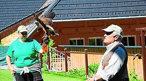 Der Greifvogel- und Eulenpark Triberg präsentierte seine Tiere in den vergangenen Jahren in großen Volieren sowie – wie hier im Bild – ...