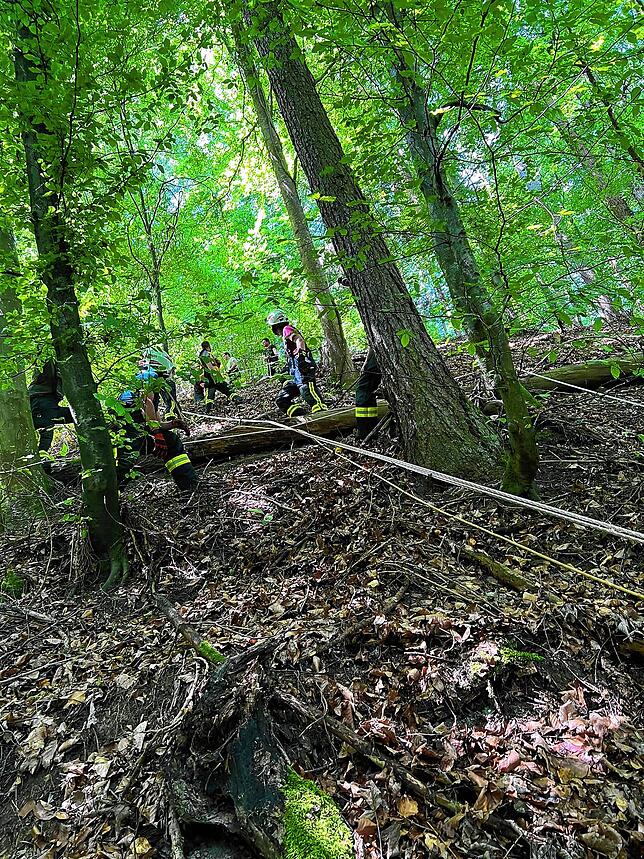 Einsatz der Freiwilligen Feuerwehr Bodman-Ludwigshafen und Stockach.