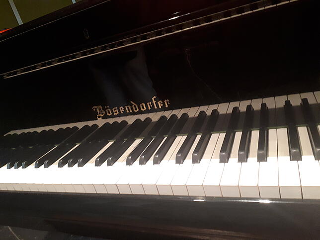 Der MPS-Bösendorfer heute: Frisch gestimmt, wird das teure Instrument am Donnerstag, 12. September, 17 Uhr, beim SÜDKURIER-Talk, mit ...