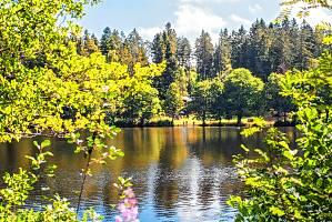 Der Schlüchtsee