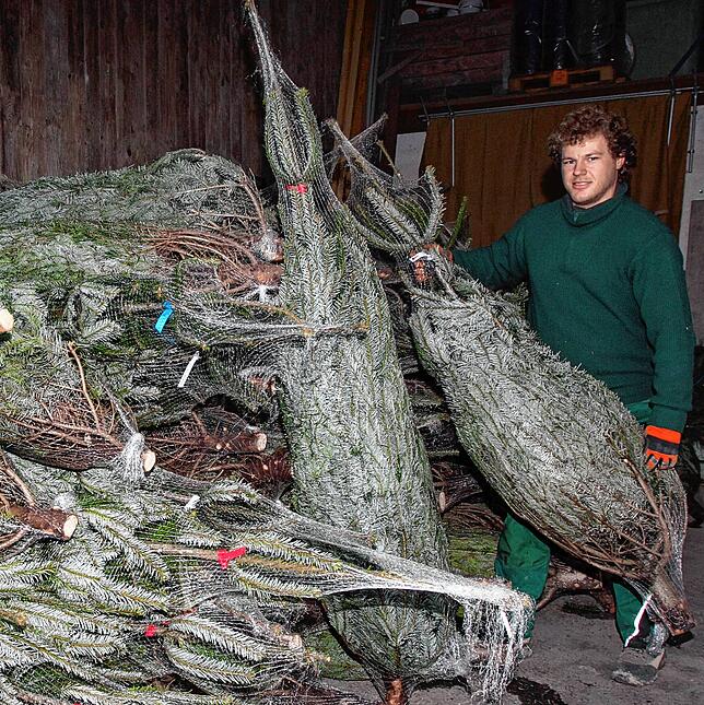 (Archivbild) Benjamin Fuchs verkauft im Familienbetrieb Weihnachtsbäume. Diese stammen aus dem Schwarzwald.