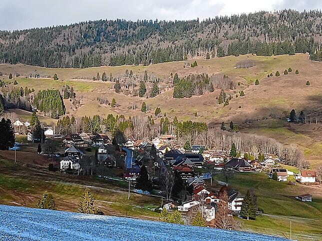 Im beschaulichen Todtmooser Ortstei Weg regt sich Widerstand gegen die geplante Zipline auf dem Weidberg, der im Hintergrund zu sehen ist.