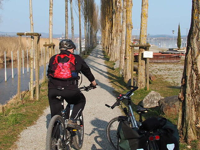 Tour 3: Am Hafen von Moos führt eine schmale Pappelpromenade bis ganz vor zum Wasser. Bild: Gudrun Trautmann