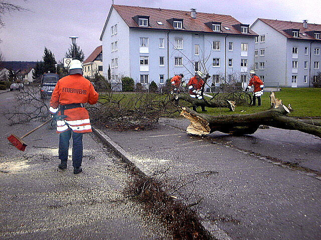 Bild 3: So hat Orkan Lothar vor 20 Jahren am Hochrhein gewütet