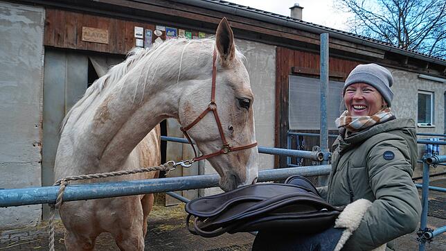 Alayaz darf an ihrem neuen Sattel schnuppern. Kathrin Steidle möchte die Stute langsam ans Reiten heranführen.