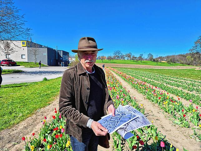 Genau hier, auf diesem Tulpenfeld, standen die Baracken des Konzentrationslagers Überlingen. Historiker Owald Burger hält das Luftbild ...