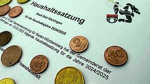 Der Stadtsäckel ist längst nicht mehr so prall gefüllt wie auf dem Wappen der Stadt. Die städtischen Finanzen stehen deshalb unter ...