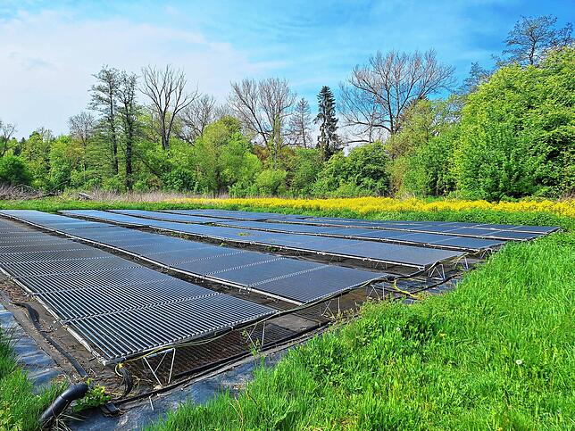 Auch auf einem Feld neben der Produktionsstätte hat der Unternehmer Anlagen platziert. „Das sind die alten Anlagen vom Dach. Irgendwann ...