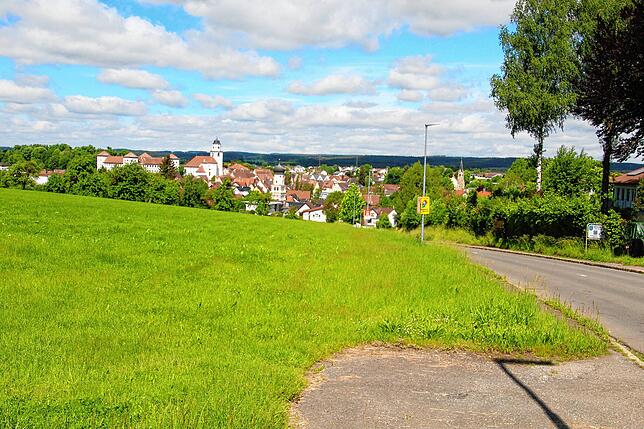 Im Gebiet Sonnenöschle, das direkt an die Pfullendorfer Straße (rechts im Bild) angrenzt, will die Stadt Meßkirch ein neues Baugebiet ...