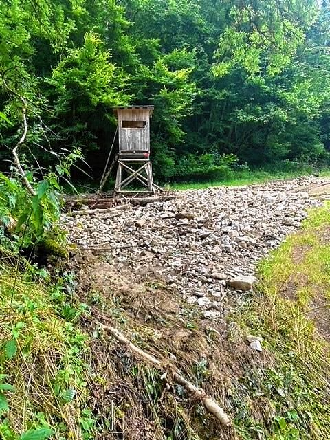 Der Starkregen hatte auch im Stühlinger Weilertal Hangrutsche ausgelöst. Der Hochsitz wurde verschont.