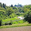 Kann diese Straße all die Autos verkraften, die im Moment noch an der Waldsiedlung vorbei fahren? Auf die Westtangente kommt ab Juli ...
