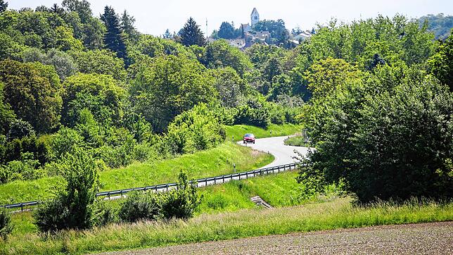 Kann diese Straße all die Autos verkraften, die im Moment noch an der Waldsiedlung vorbei fahren? Auf die Westtangente kommt ab Juli ...