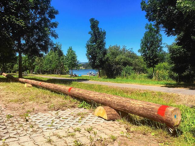 Mit Baumstämmen hat der Bräunlinger Bauhof die Parkflächen auf dem Kirnbergsee-Südparkplatz abgegrenzt, um diese künftig effektiver zu ...