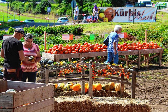 Den Kürbismarkt der Familie Josef und Elisabeth Thoma aus Albbruck-Birndorf gibt es seit 25 Jahren. Ihn findet man neben der ...