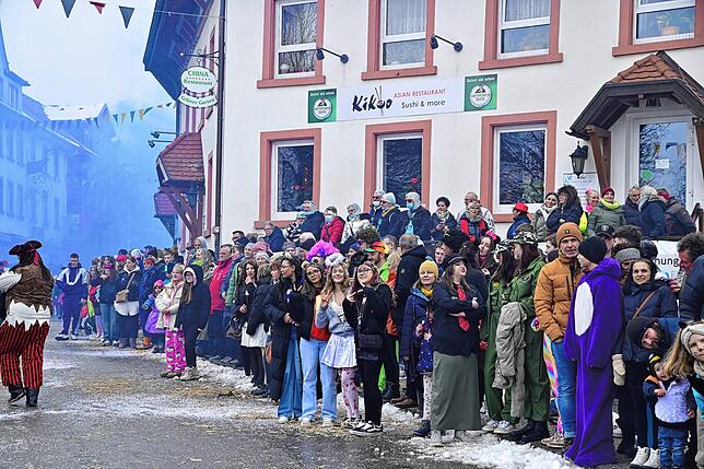 Bild 16: 75 Gruppen beim Fasnachtsumzug in St. Georgen: Wir haben die Bilder