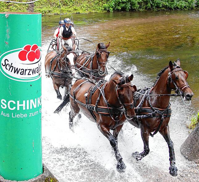 Werden sicherlich schmerzlich vermisst, die Kutschfahrwettbewerbe, wie hier durch die Brigach noch 2019.