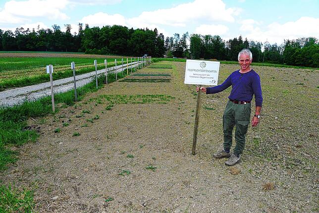 Siegfried Kopp, Vorsitzender des Fördervereins Deggenhausertal, beim neu angelegten Feldfruchtsortengarten am Schaukelweg zwischen ...