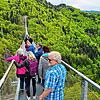 Wer über die Todtnauer Hängebrücke scheint über dem Schwarzwald zu schweben.