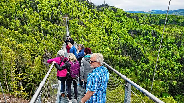 Wer über die Todtnauer Hängebrücke scheint über dem Schwarzwald zu schweben.