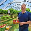 Martin Schneble und seine Familie bauen seit diesem Jahr ihre Erdbeeren vollständig in Folientunneln an. Er ist mit der Erdbeersaison ...