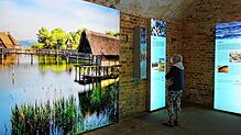 Interessantes im historischen Ambiente: Jedes Thema der Ausstellung &bdquo;Mauern, Pfähle und Kakteen&ldquo; in Überlingen wird mit ...