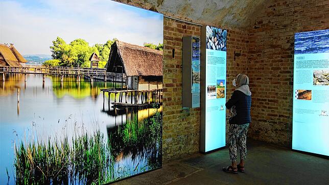 Interessantes im historischen Ambiente: Jedes Thema der Ausstellung &bdquo;Mauern, Pfähle und Kakteen&ldquo; in Überlingen wird mit ...