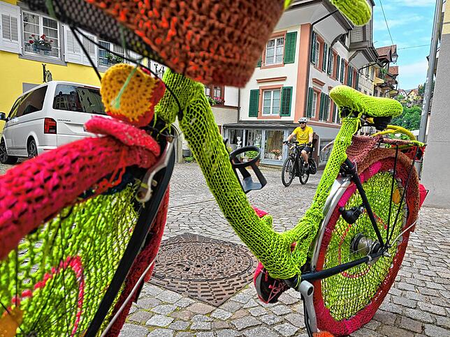 Bild 27: Bilder von 20. Slow-up am Hochrhein