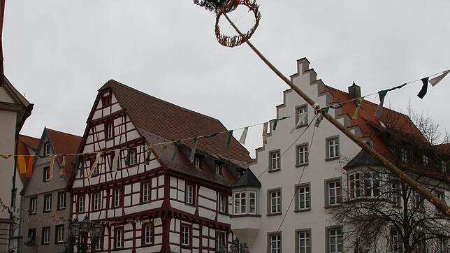 Wegen des anhaltend stürmischen Wetters wurde der Narrenbaum um die Mittagszeit gefällt. Es war eine absolute Präzisionsleistung: Der ...