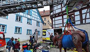 Die Besucher des verkaufsoffenen Sonntags in Pfullendorf interessieren auch dafür, was die Tierrettung Südbaden alles so macht.