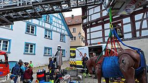 Die Besucher des verkaufsoffenen Sonntags in Pfullendorf interessieren auch dafür, was die Tierrettung Südbaden alles so macht.