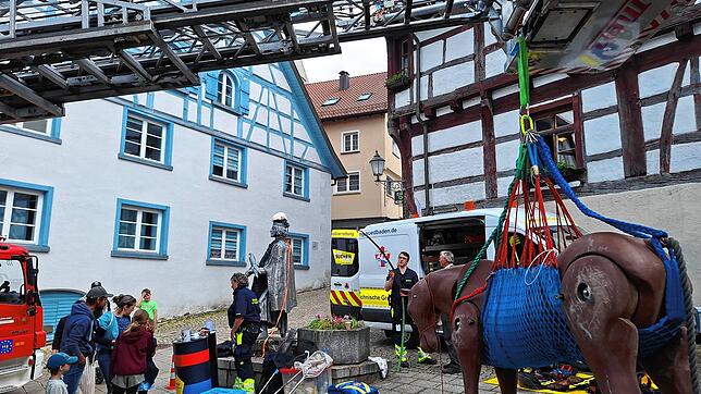 Die Besucher des verkaufsoffenen Sonntags in Pfullendorf interessieren auch dafür, was die Tierrettung Südbaden alles so macht.
