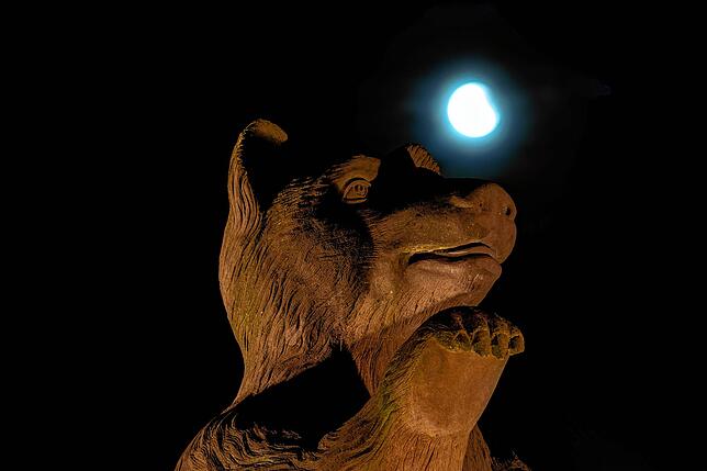 Der Bär auf dem Brigachtaler Kreisel hat Glück, er darf um 21.52 Uhr ganz alleine und ungestört mit dem Vollmond spielen. Ganz leicht ...