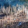 Dramatische Lage am Brocken: Eine Harzer Schmalspurbahn mit Löschtanks bekämpft den Waldbrand.