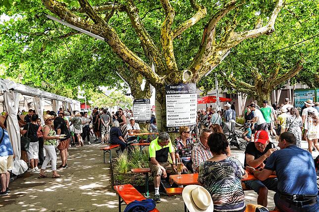 Bild 19: So schön war es auf dem Hausherrenfest am Radolfzeller Seeufer