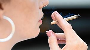 Vor dem Konsum steht der Cannabis-Anbau: Vereine benötigen hierfür eine Lizenz. Diese zu erhalten, ist gar nicht so einfach, bemängeln ...