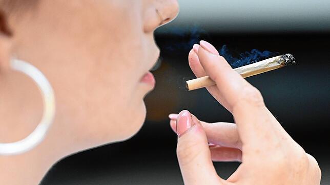 Vor dem Konsum steht der Cannabis-Anbau: Vereine benötigen hierfür eine Lizenz. Diese zu erhalten, ist gar nicht so einfach, bemängeln ...