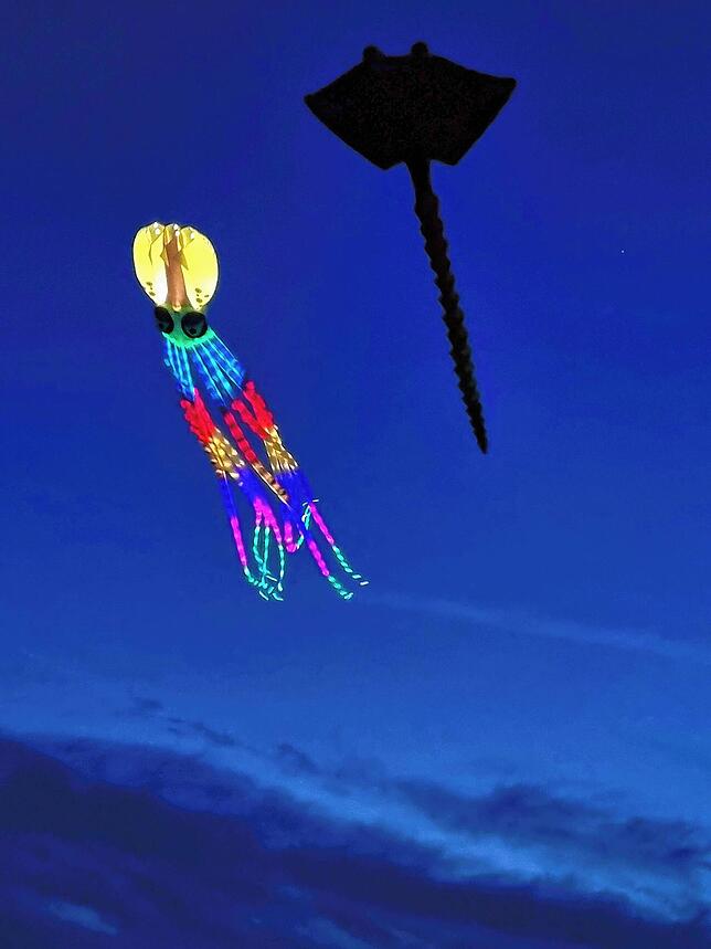 Bild 34: Bilder vom 11. Familien-Drachenfest auf dem Flugplatz in Hütten