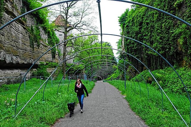 Noch fehlt hier die Abdeckung des Uhu-Tunnels, der im Verlauf der Woche fertiggestellt wird. Ursula Ortner, die mit Hund Bruno Gassi ...