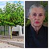 So kennt man Sabine Grässlin. Als Köchin hinterm Herd ihres Restaurants Kippys (Archivbild). Jetzt ist das Restaurant, das nach dem ...