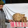 Mega-Wespennest: Roland Indlekofer freut sich über das gefundene Kunstwerk, das Wespen über seiner Haustür geschaffen haben.