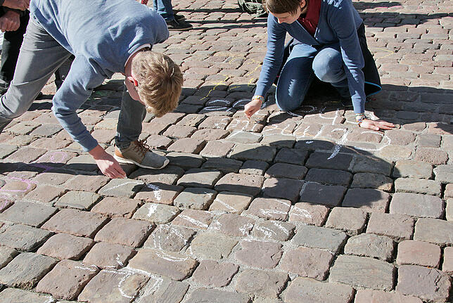 Bild 17: Impressionen von der Fridays for Future-Demo in Villingen